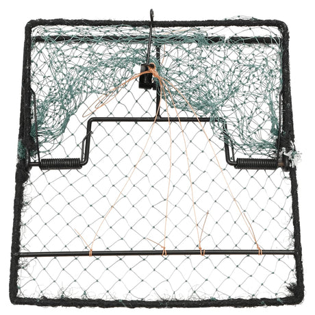 Bird Trap Green Steel