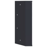 Corner Bathroom Mirror Cabinet 30X24X60 Cm