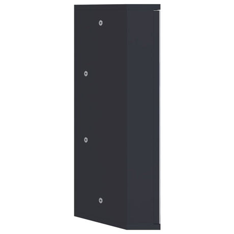 Corner Bathroom Mirror Cabinet 30X24X60 Cm