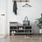 Shoe Cabinet 102X36X60 Cm Engineered Wood