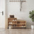 Shoe Cabinet 102X36X60 Cm Engineered Wood
