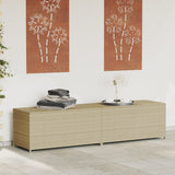 Garden Storage Box Poly Rattan