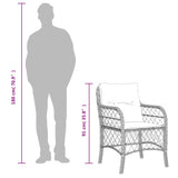 Garden Chairs With Cushions 2 Pcs Poly Rattan