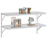 Wall Shelves 2 Pcs Stainless Steel