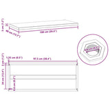Wall Shelves 2 Pcs Stainless Steel