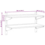 2-Tier Wall Shelf Silver Stainless Steel