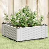 Garden Planter With Pegs 125X40X28.5 Cm Pp