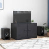 Tv Cabinet 67X39X44 Cm Steel