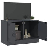 Tv Cabinet 67X39X44 Cm Steel