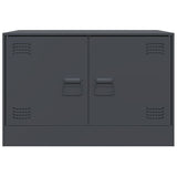Tv Cabinet 67X39X44 Cm Steel