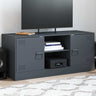Tv Cabinet 99X39X44 Cm Steel