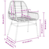 Garden Chairs 2 Pcs Poly Rattan