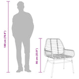 Garden Chairs 2 Pcs Poly Rattan
