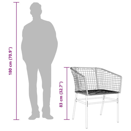 Garden Chairs 2 Pcs Poly Rattan