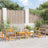 Garden S 2 Pcs Poly Rattan And Acacia Wood