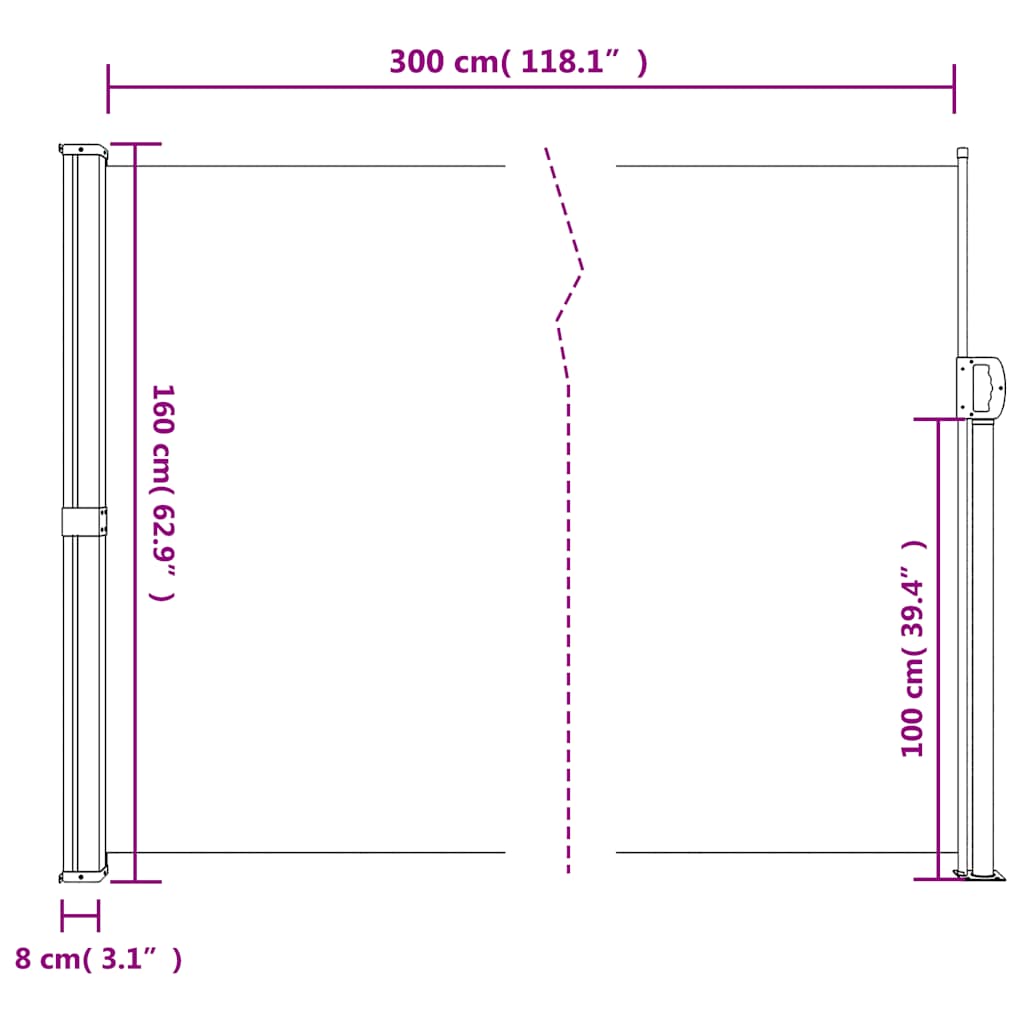 Retractable Side Awning Brown 160x300 cm