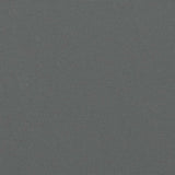 Retractable Side Awning Anthracite 200x600 cm