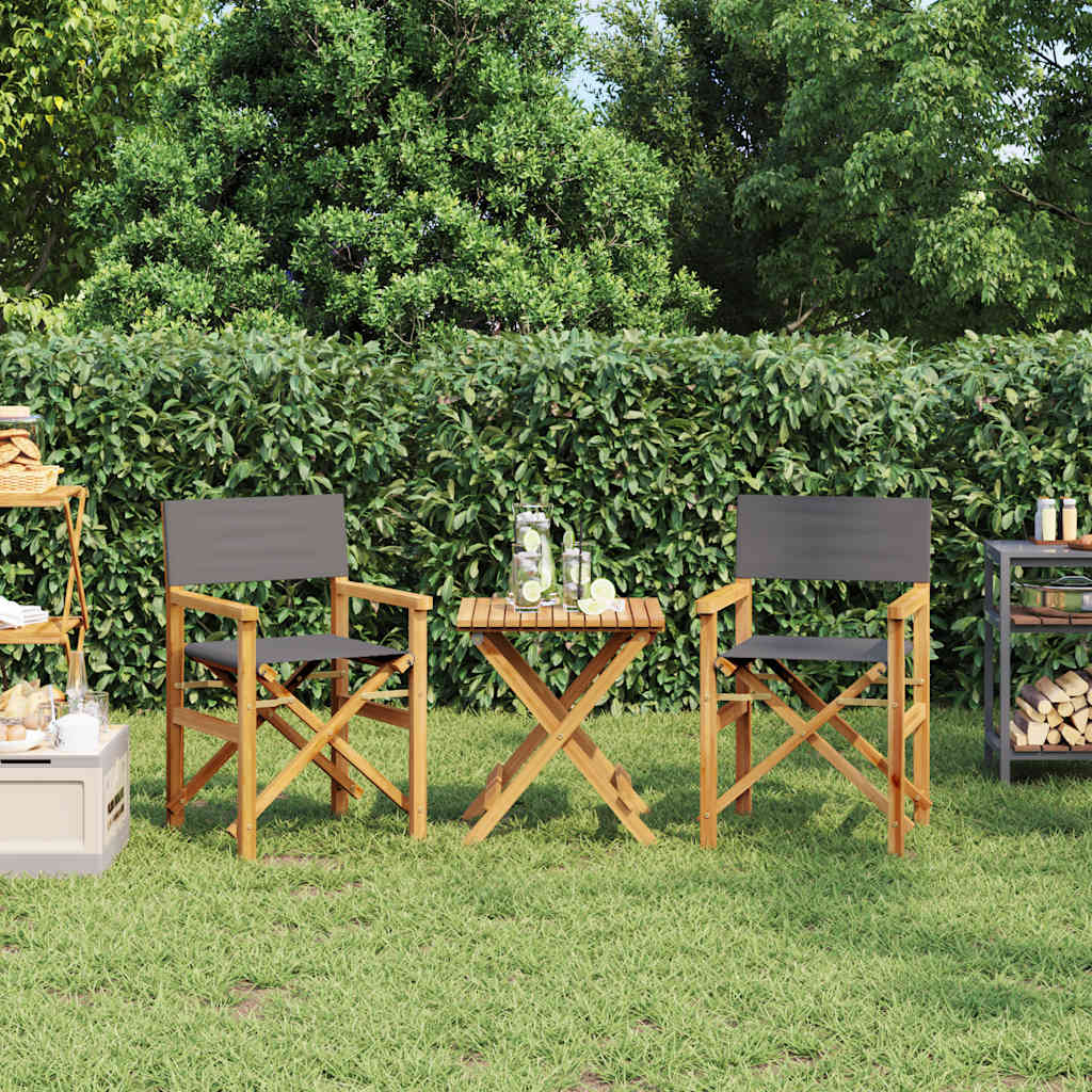 Folding Director's Chair Solid Wood Teak