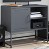 Tv Cabinet 100.5X39X60.5 Cm Steel