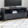 Tv Cabinet 100.5X39X43.5 Cm Steel