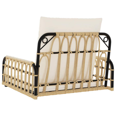 Swing Chair With Cushions Poly Rattan And Steel