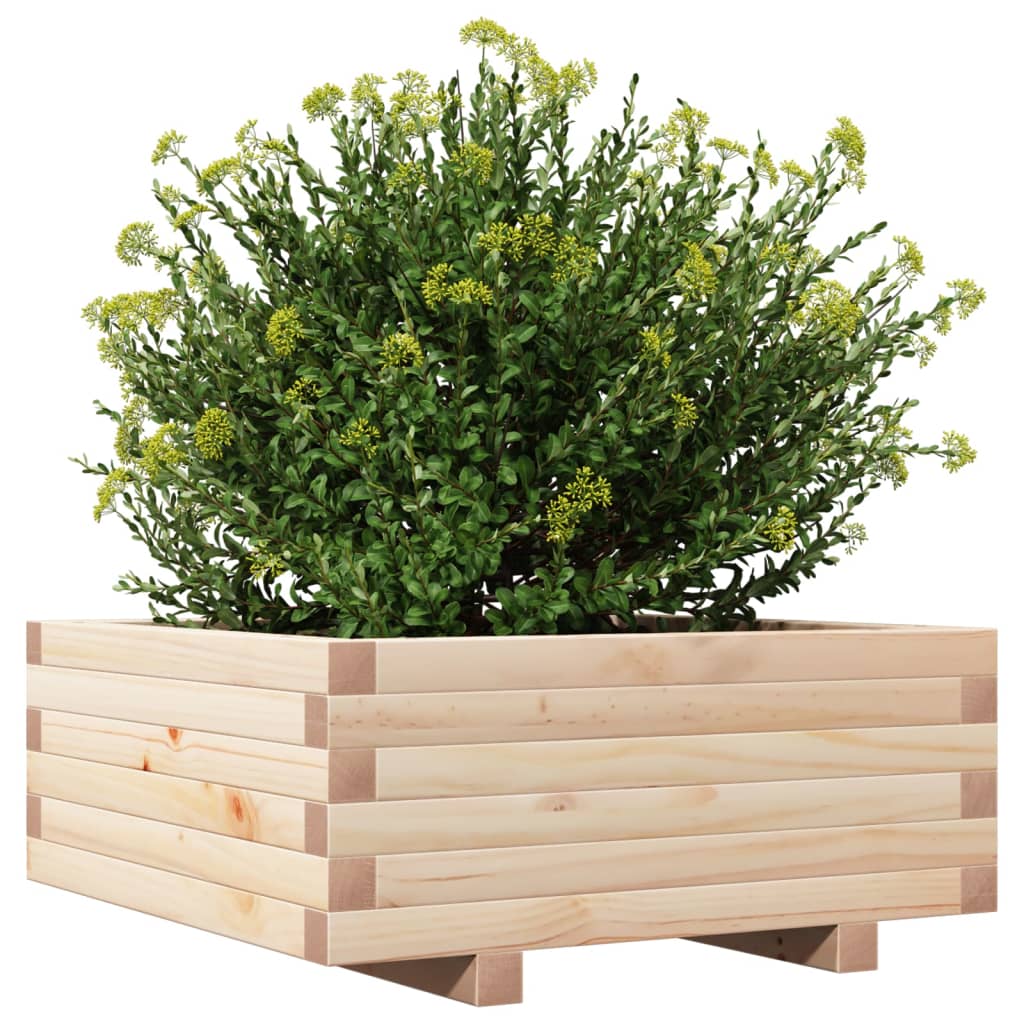 Garden Planter 60X60X26.5 Cm Solid Wood Pine