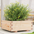 Garden Planter 60X60X26.5 Cm Solid Wood Pine