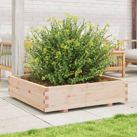 Garden Planter 100X100X26.5 Cm Solid Wood Pine