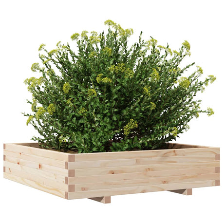Garden Planter 100X100X26.5 Cm Solid Wood Pine