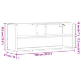 Tv Cabinet 100X31X39.5 Cm Engineered Wood And Metal
