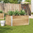 Garden Planter Brown 120X80 Cm Solid Wood Pine