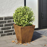 Garden Planters Anthracite 2 Pcs Steel
