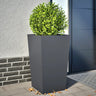 Garden Planters Anthracite 2 Pcs Steel