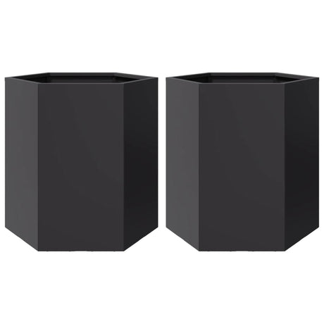 Garden Planter 2 Pcs Black Hexagon Steel