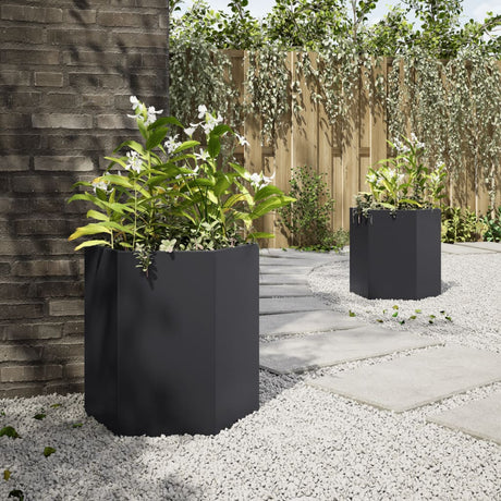 Garden Planter 2 Pcs Black Hexagon Steel
