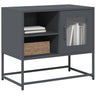 Tv Cabinet 100.5X39X60.5 Cm Steel