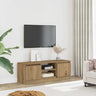 Tv Cabinet With Door 102X30X36 Cm