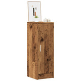 Shoe Cabinet Engineered Wood