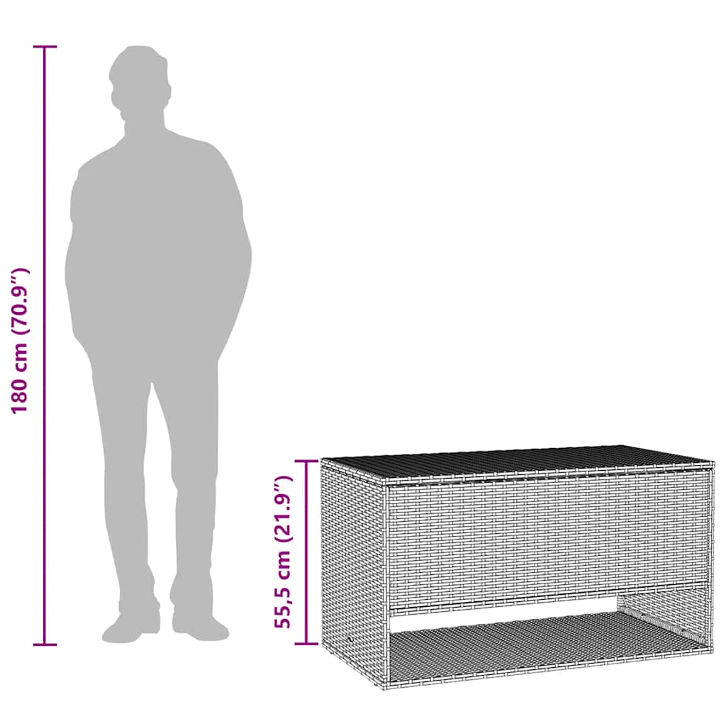 Outdoor Cushion Box 100X55X55.5 Cm Poly Rattan