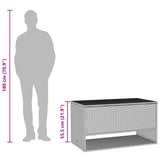 Outdoor Cushion Box 100X55X55.5 Cm Poly Rattan