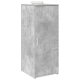 Storage Cabinet Engineered Wood