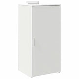 Storage Cabinet Engineered Wood