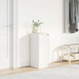 Shoe Cabinet 29.5X34X76 Cm Engineered Wood