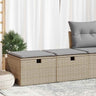 2 Piece Garden Sofa Set With Cushions Beige Poly Rattan Acacia