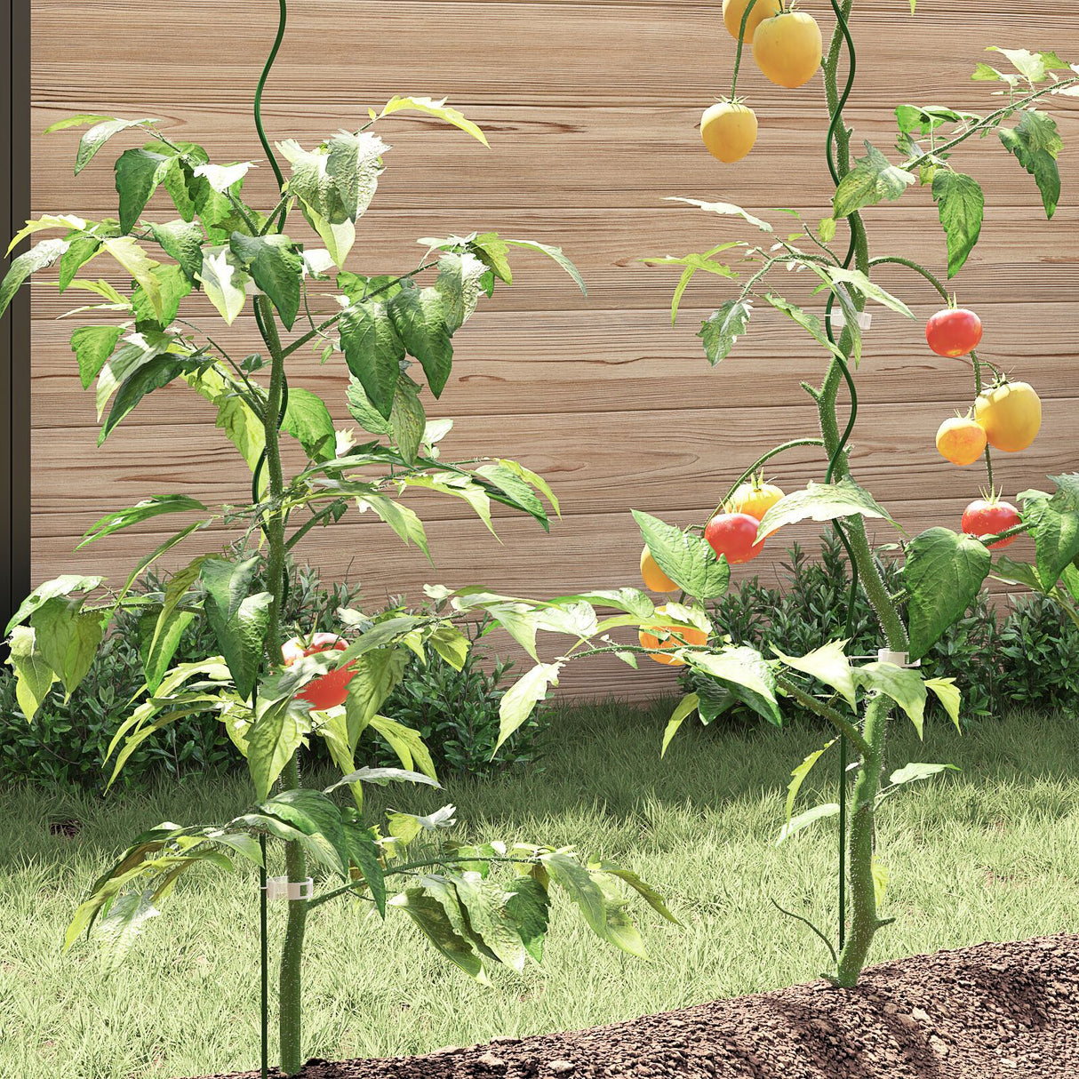 Spiral Plant Supports - 50 Pcs, 170 Cm Steel