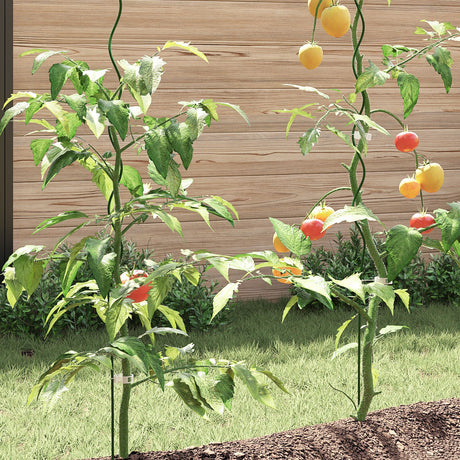 Spiral Plant Supports - 50 Pcs, 170 Cm Steel
