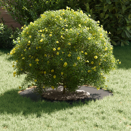 Plastic Planters Plastic Medium Stackable