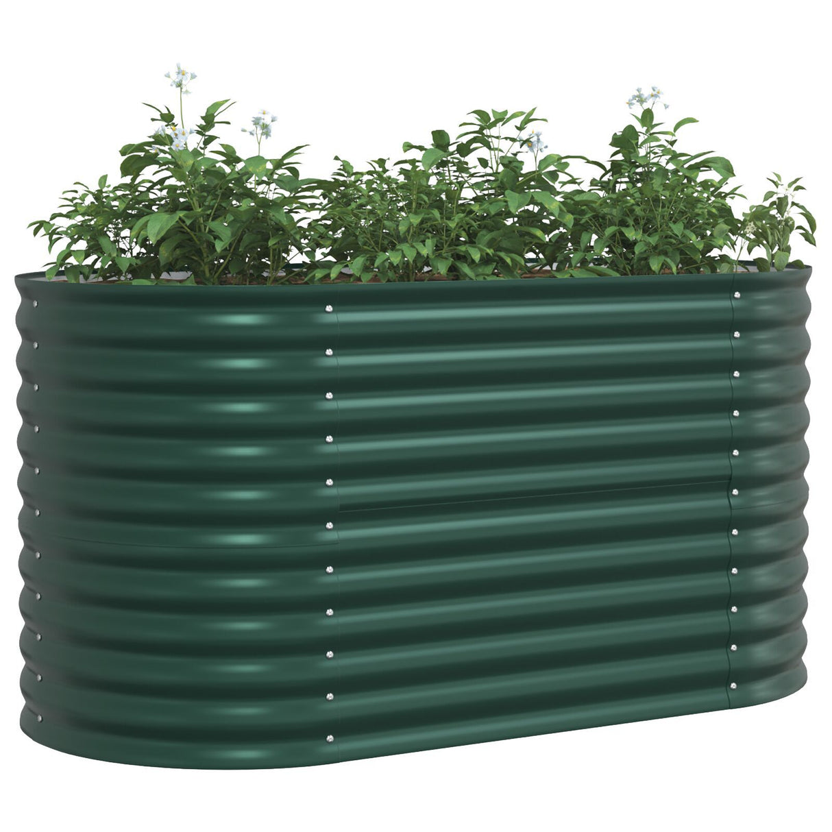 Garden Raised Bed Green 160X80X81 Cm Galvanized Steel