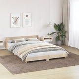 Shaggy Rug With Latex Backing Brown 240X340 Cm