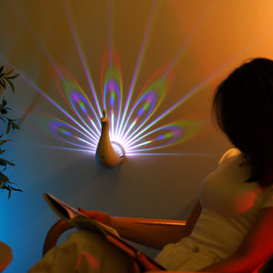 Wall Light Fixtures